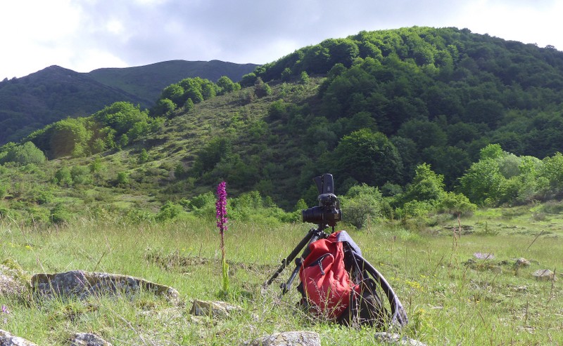 Il lago di Campotosto, orchidee, maltempo eschiarite! maggio/giugno 2023.